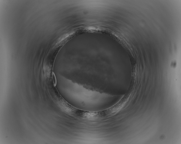 X0000091330139200708171358