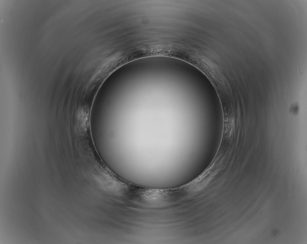 X0000091330142200708171358