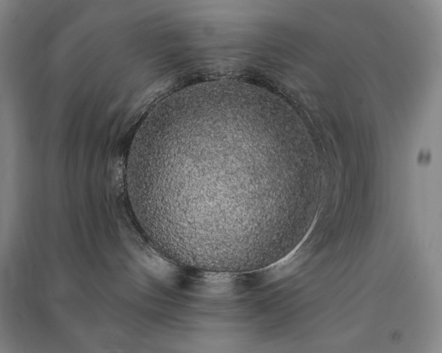 X0000091330144200708171358