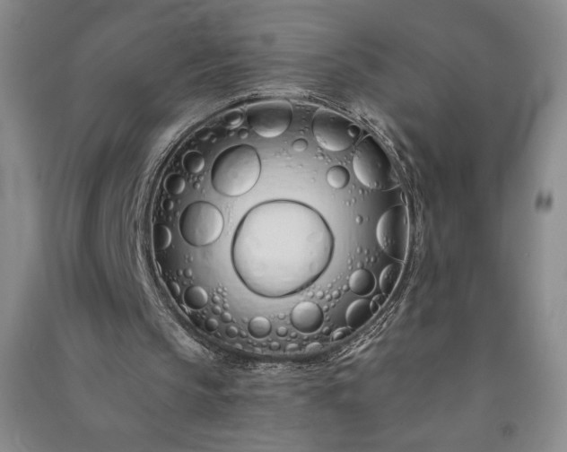 X0000091330145200708171358