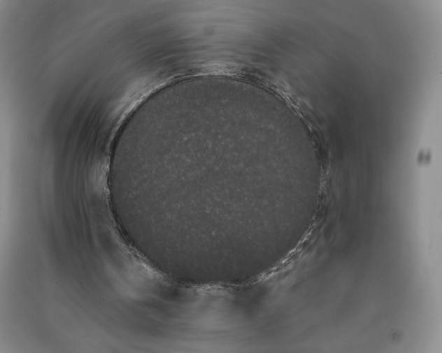 X0000091330146200708171358