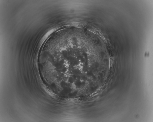 X0000091330147200708171358