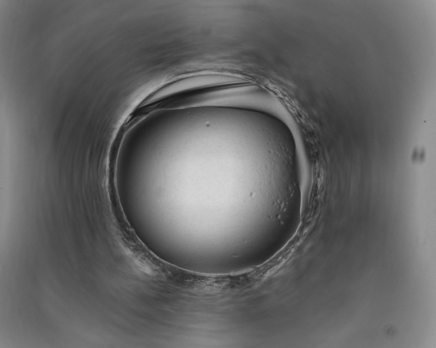 X0000091330148200708171358