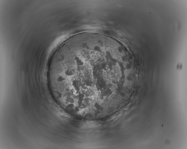 X0000091330149200708171358