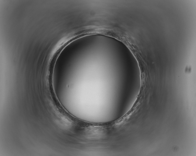 X0000091330150200708171358