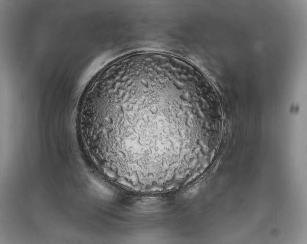 X0000091330151200708171358