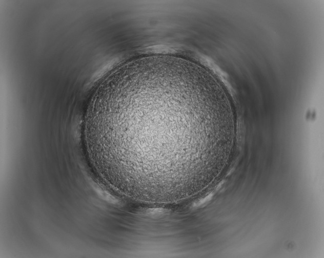 X0000091330153200708171358