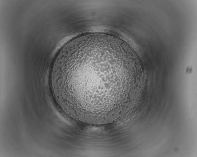 X0000091330155200708171358