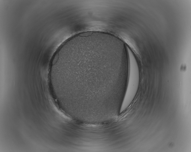 X0000091330156200708171358