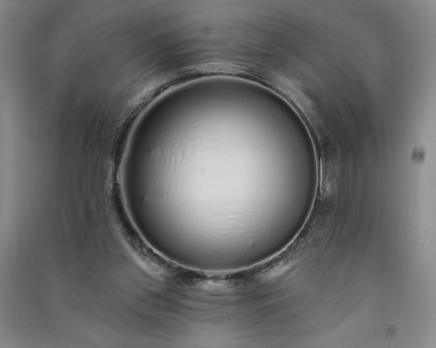 X0000091330157200708171358