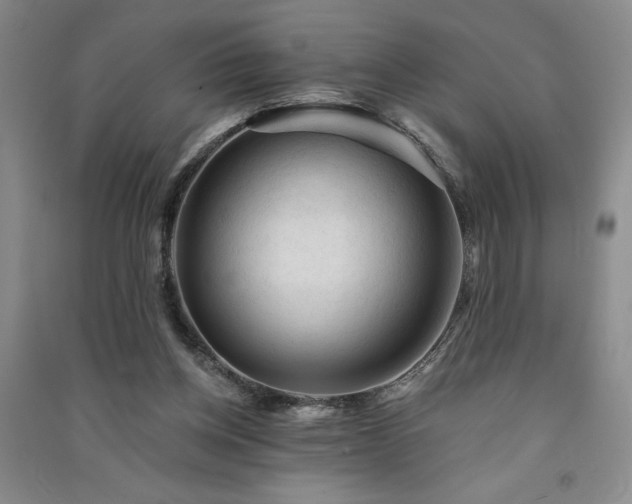 X0000091330158200708171358