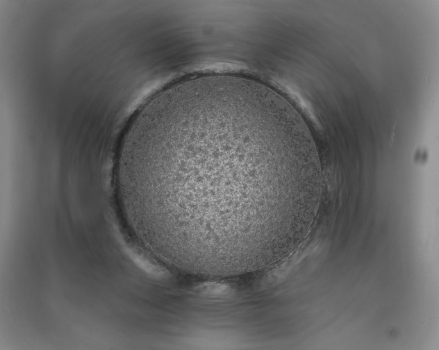 X0000091330159200708171358