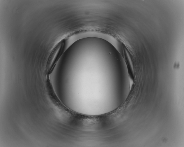 X0000091330160200708171358