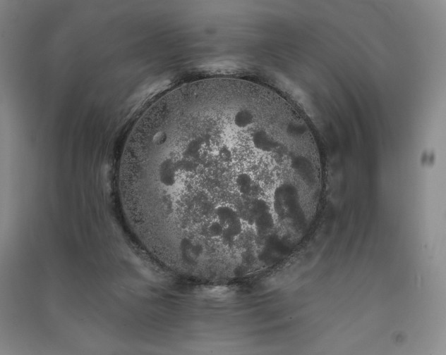 X0000091330161200708171358