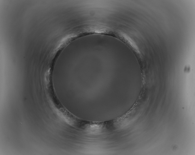 X0000091330163200708171358