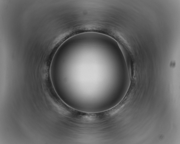 X0000091330164200708171358