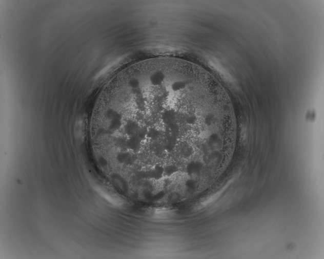 X0000091330165200708171358