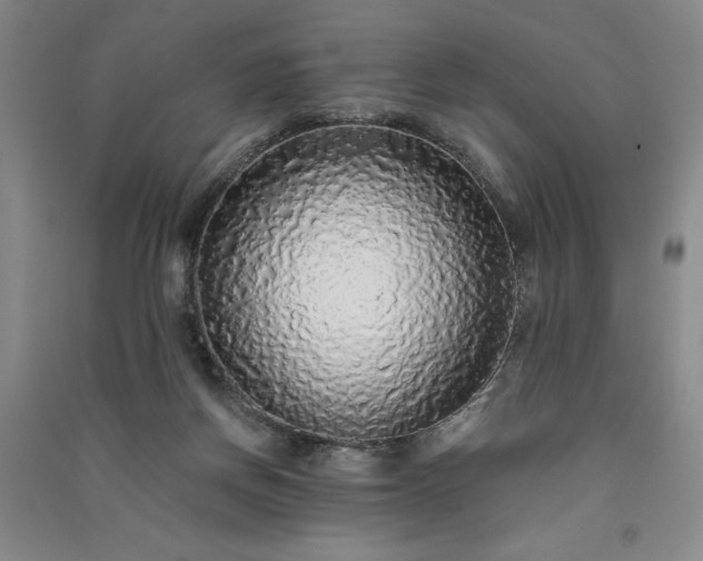 X0000091330166200708171358