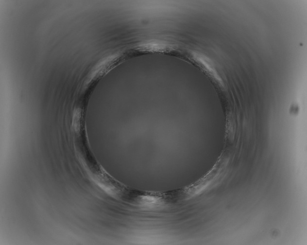 X0000091330167200708171358