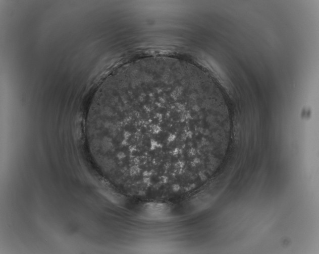 X0000091330169200708171358