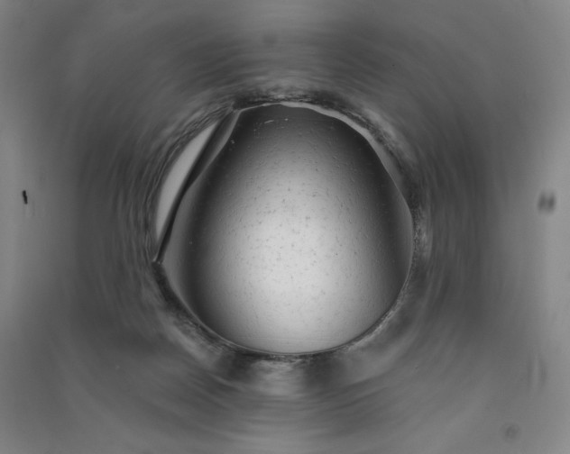 X0000091330170200708171358