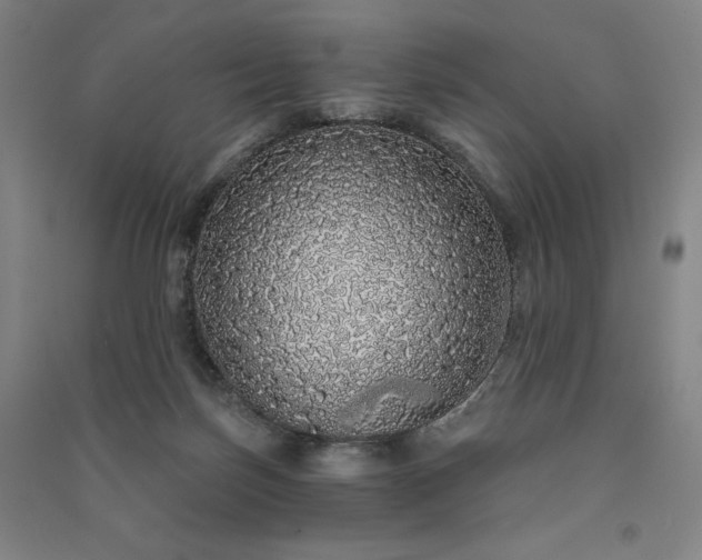 X0000091330171200708171358