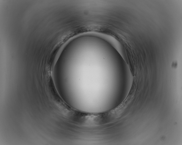 X0000091330172200708171358