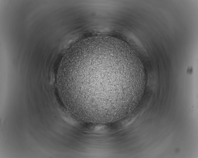 X0000091330173200708171358