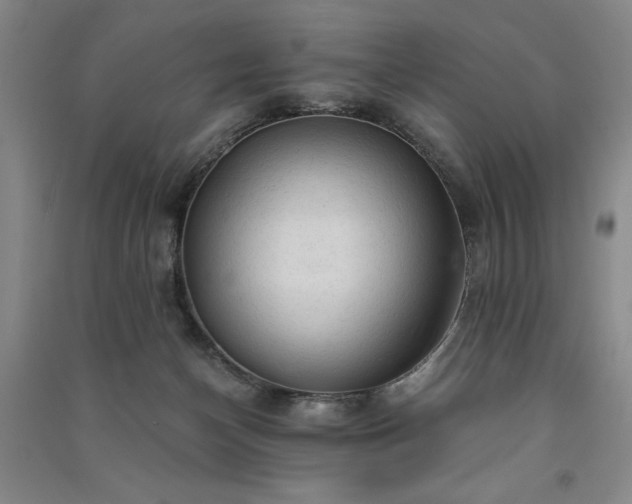 X0000091330174200708171358