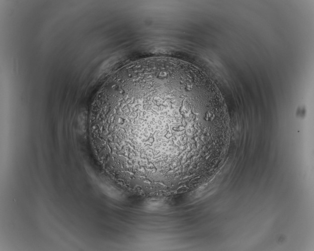 X0000091330175200708171358