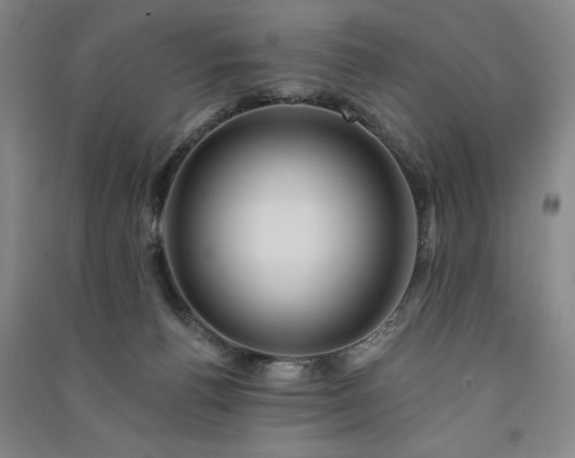 X0000091330176200708171358