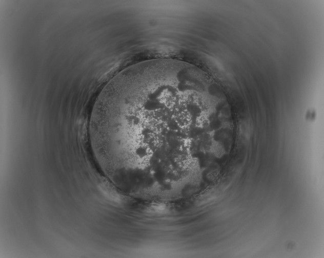 X0000091330177200708171358