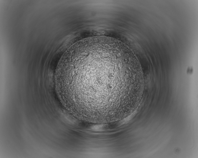 X0000091330178200708171358