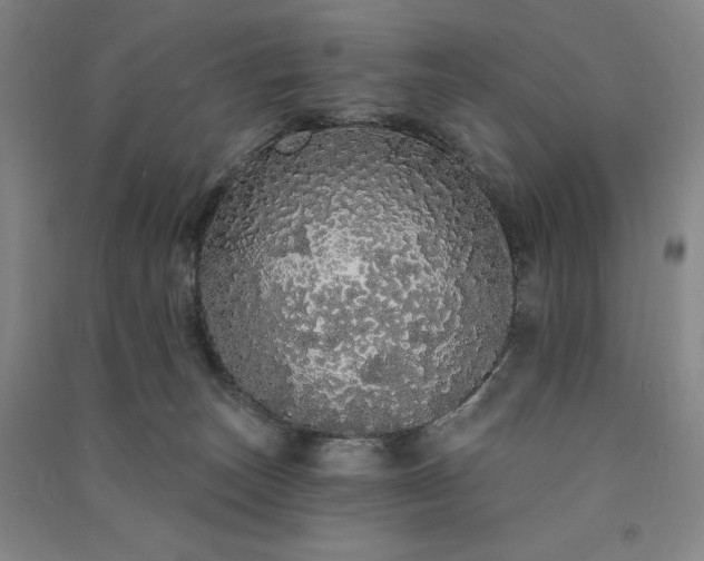 X0000091330179200708171358