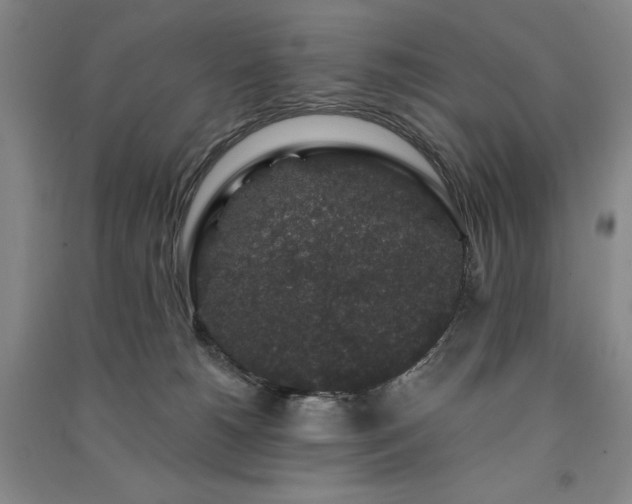 X0000091330180200708171358