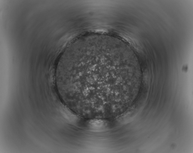 X0000091330181200708171358