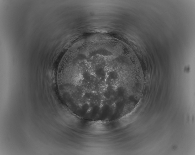 X0000091330182200708171358