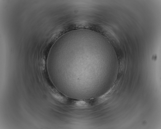 X0000091330183200708171358