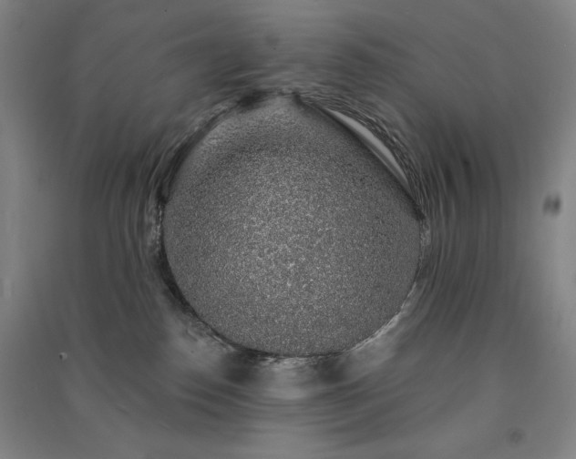 X0000091330186200708171358