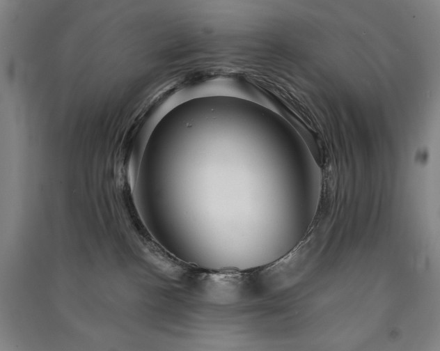 X0000091330188200708171358