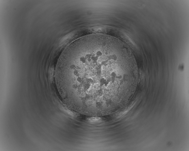 X0000091330189200708171358