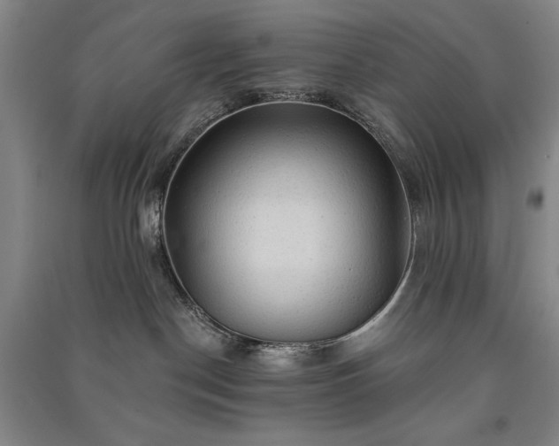 X0000091330190200708171358