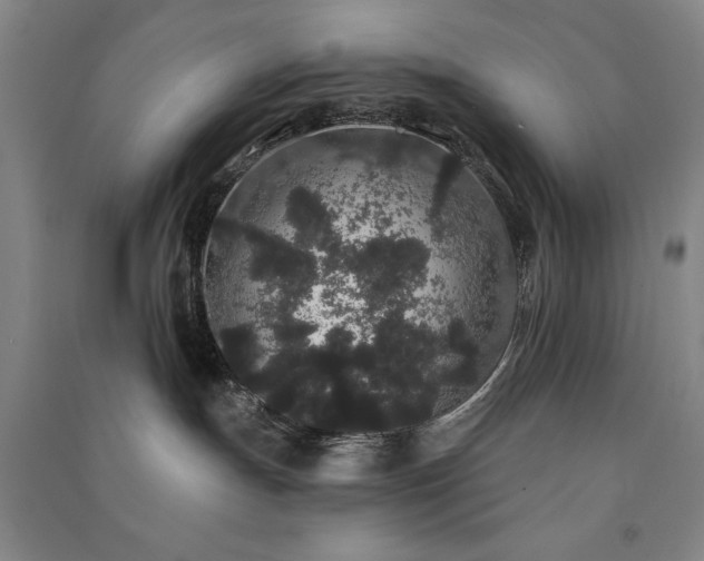 X0000091330191200708171358