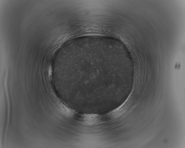 X0000091330192200708171358