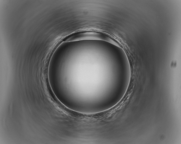 X0000091330193200708171358