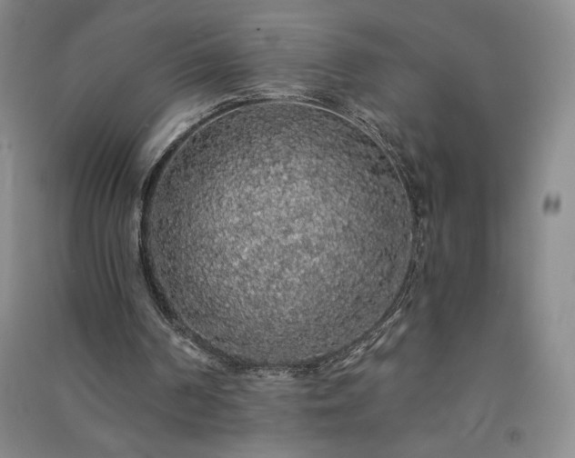 X0000091330194200708171358