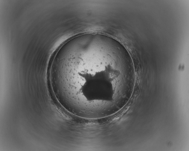 X0000091330196200708171358