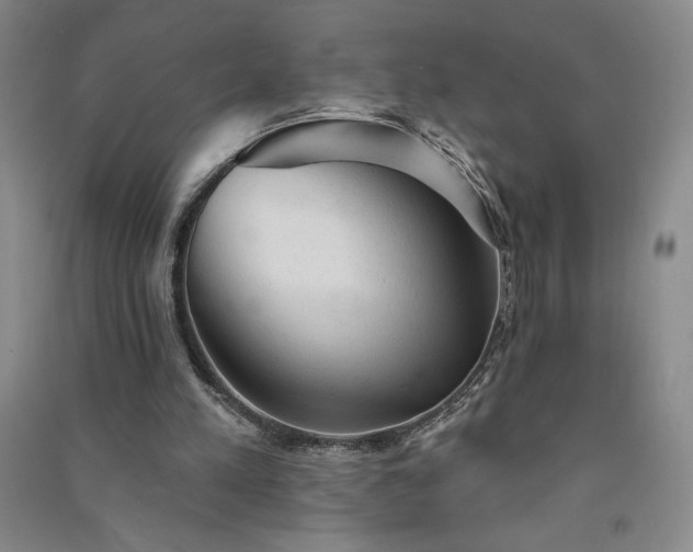 X0000091330197200708171358