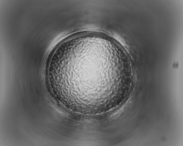 X0000091330199200708171358