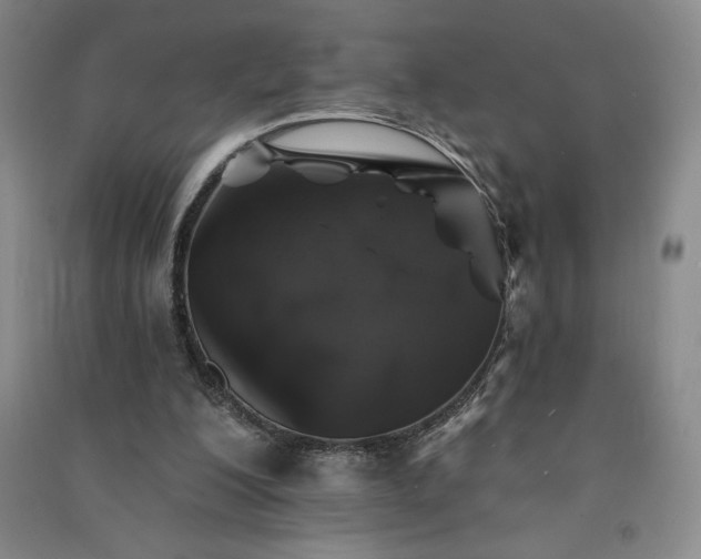 X0000091330200200708171358